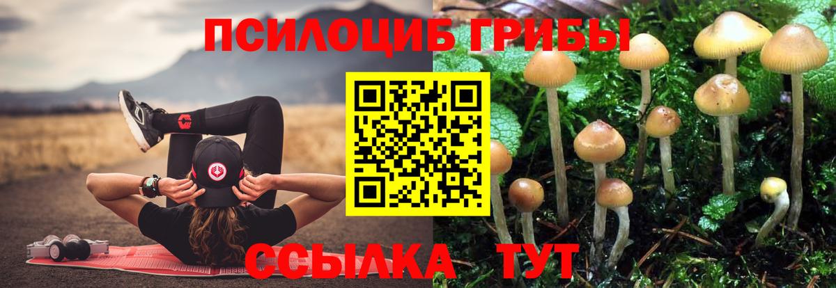 Псилоцибиновые грибы ЛСД Краснотурьинск
